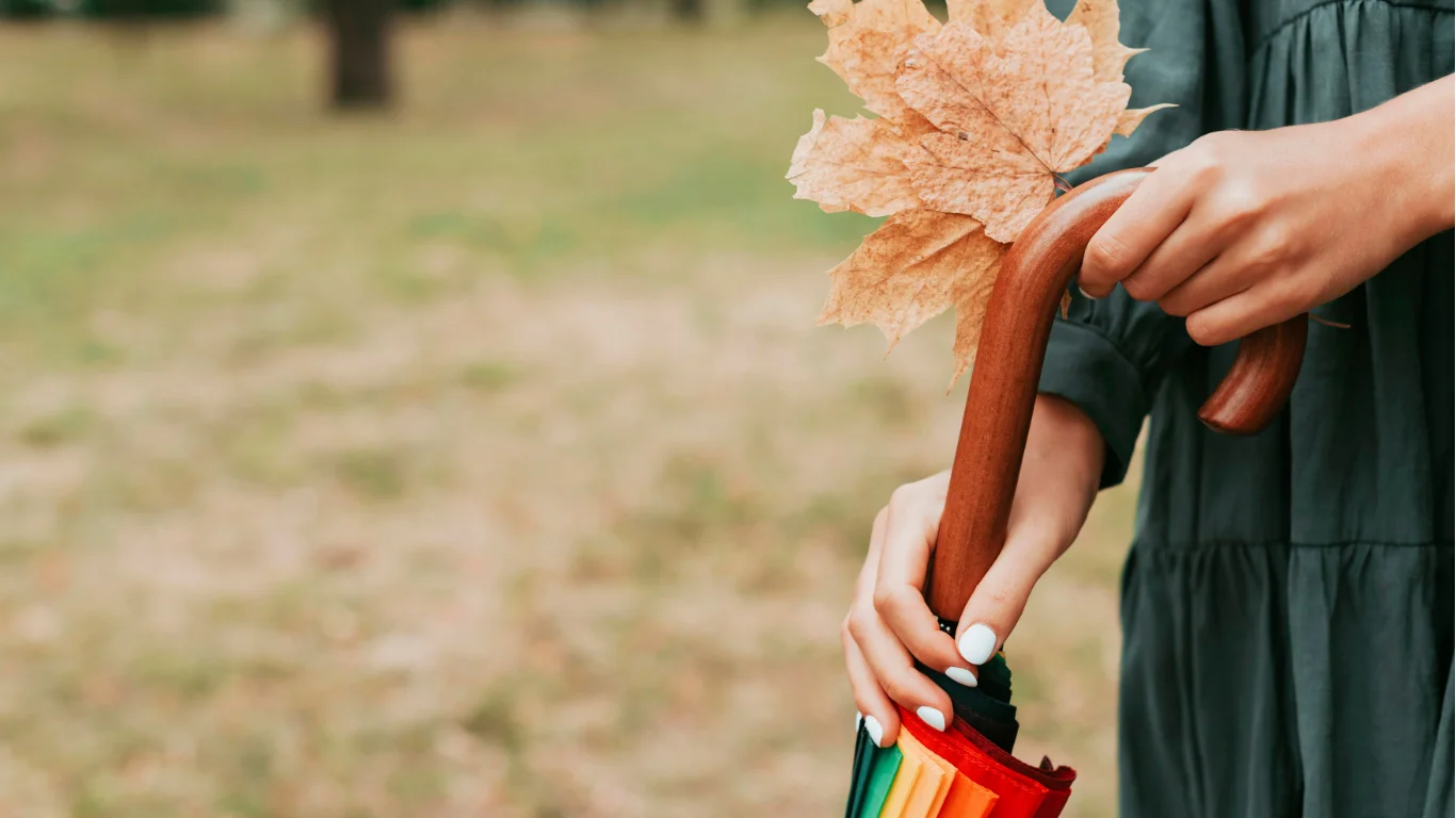 Cultural Trend Seasons